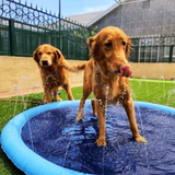 Inflatable Pet Pool with Sprinkler & Splash Mat