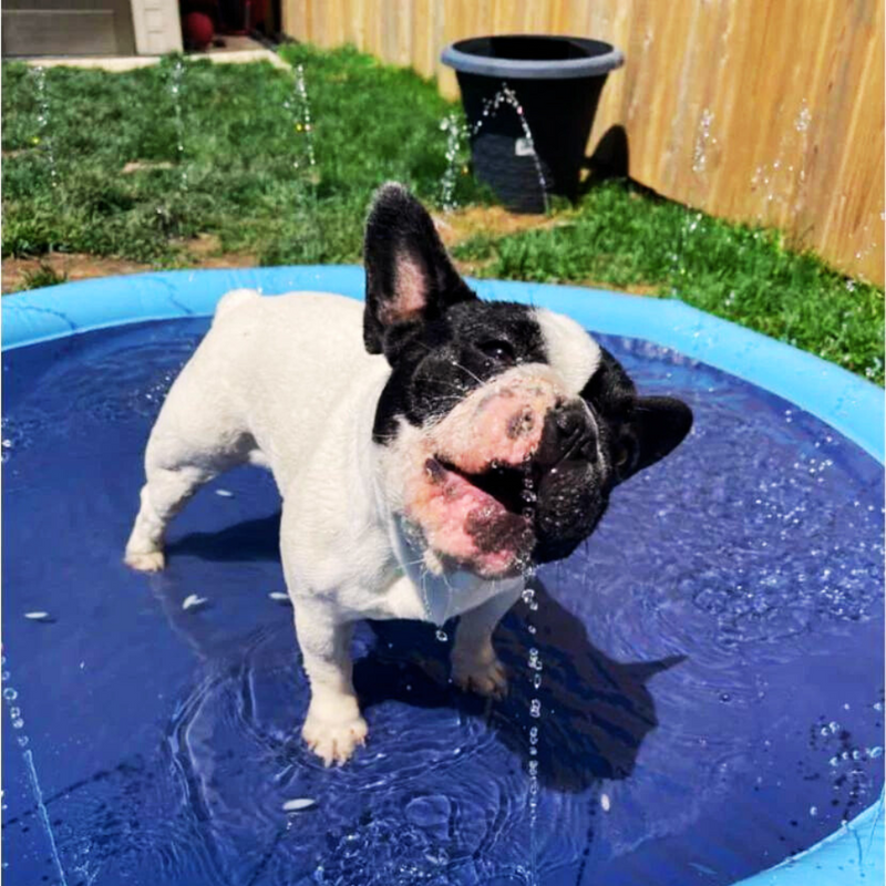 Inflatable Pet Pool with Sprinkler & Splash Mat